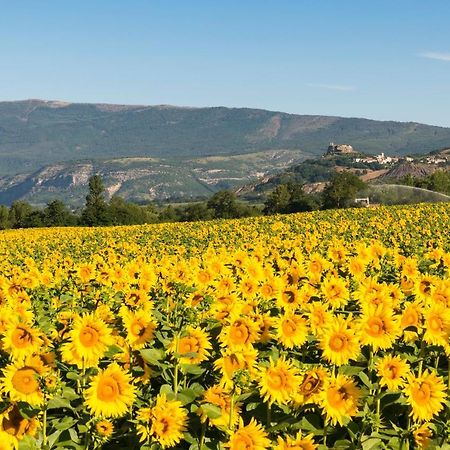 Serre Des Ormes - Cycling, Walking & Running Retreat Salerans Экстерьер фото
